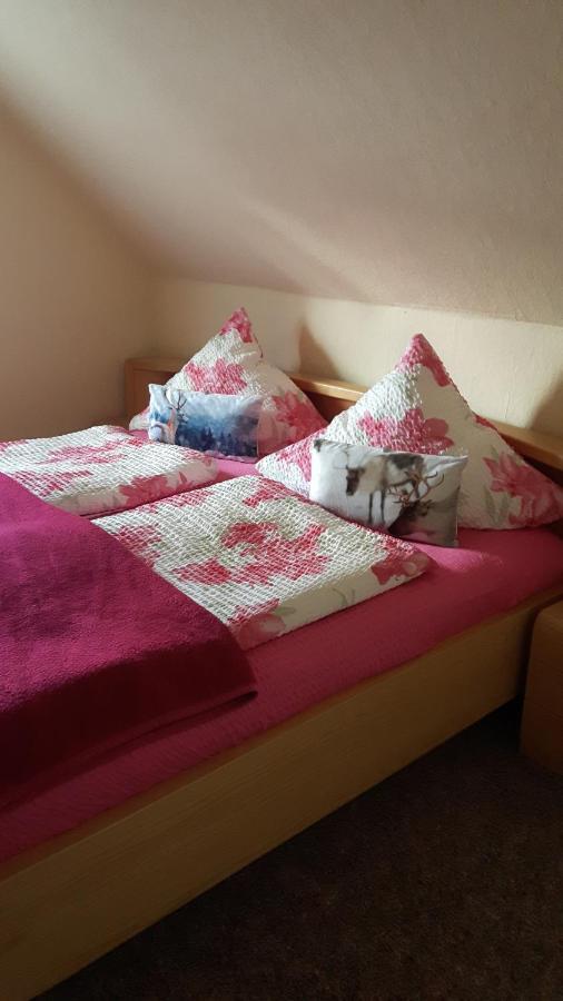 Ferienwohnung Liebscher Sehmatal Ngoại thất bức ảnh