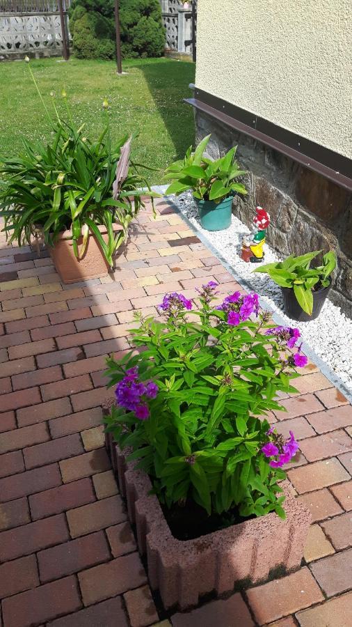 Ferienwohnung Liebscher Sehmatal Ngoại thất bức ảnh